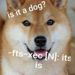 21761976_276477809538720_3169082349451310533_n.jpg