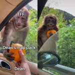 Monkey Receiving An Orange 29102020125417.jpg