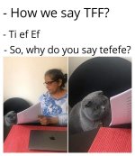 Woman Showing Papers to Grey Cat 29102020124237.jpg