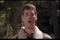 IMG_2244.gif