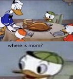 IMG_2441.jpeg