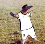 cr7.webp cr7.webp