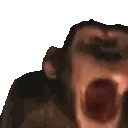 monke.gif