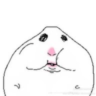 Hamster