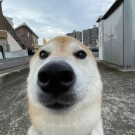 txkyo