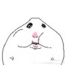 Hamster