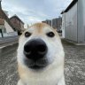 txkyo