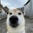 txkyo