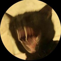 kotu.thumb.jpg.580bc7971fa981a1eb397108e
