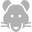 rat icon
