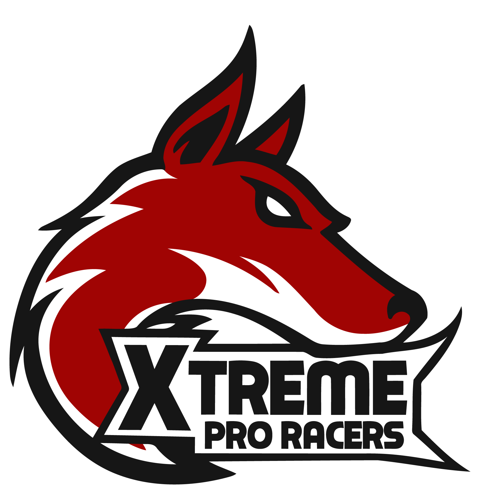 Xtreme Pro Racers