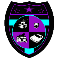 Fellow Team